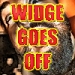widgesm.jpg