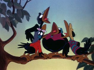 Dumbo crows