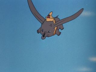 Dumbo flying