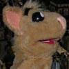 Sammy Avatar
