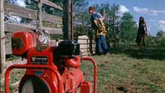 Chainsaw lawn