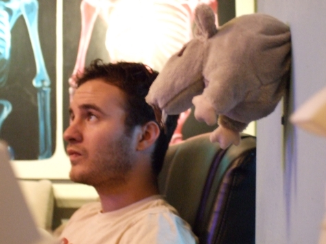 fuji-338-crop.jpg