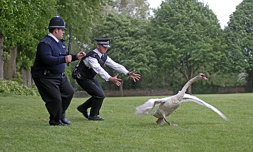 hot-fuzz-still-1.jpg